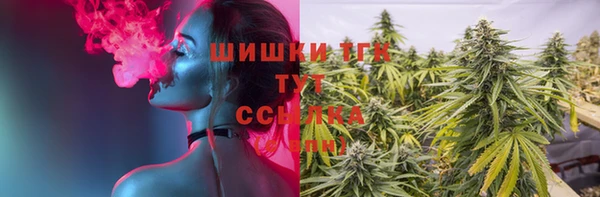 ПСИЛОЦИБИНОВЫЕ ГРИБЫ Белоозёрский