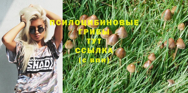 кокс Богородицк