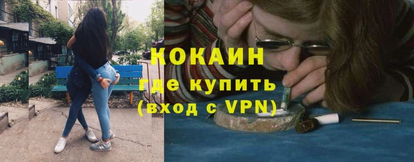 твердый Сосновый Бор
